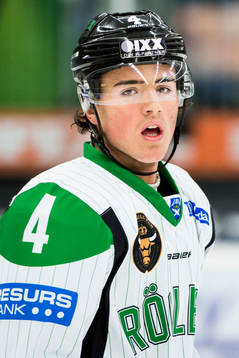Rögles Alen Bibic