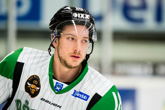 Rögles Mike Vernace