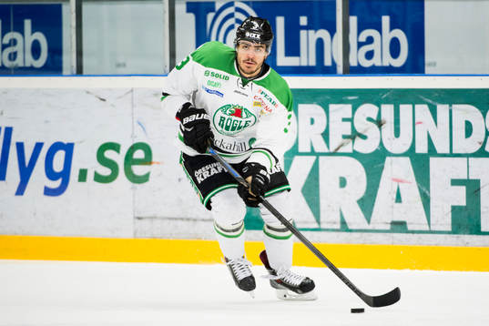 Rögles Almen Bibic