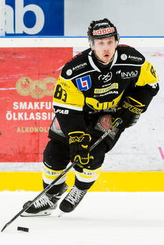 Västerås Dustin Johner