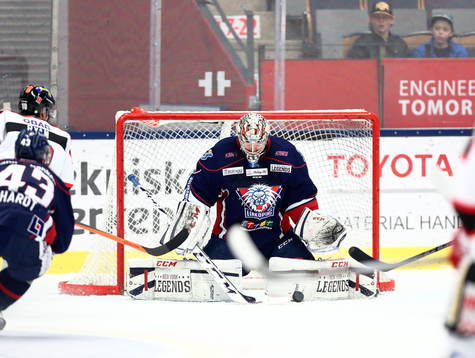 Linköping målvakt Marcus Högberg
