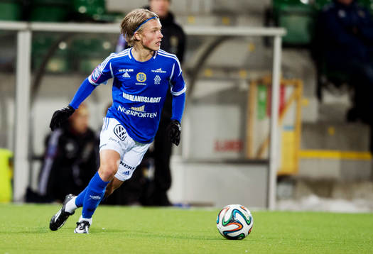 Sundsvalls Erik Granat