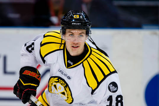 Brynäs Anton Rödin