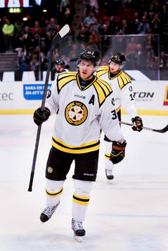 Brynäs spelare deppar