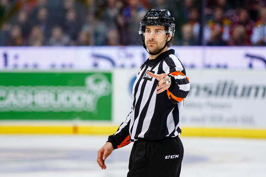 Domare Mikael Sjöqvist