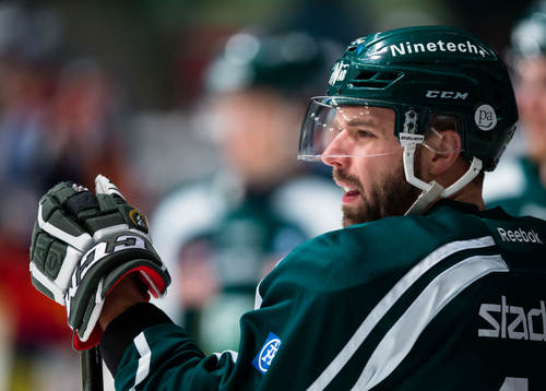 Färjestads Milan Gulas