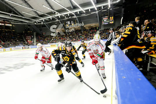 Skellefteås John Norman