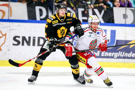 Skellefteås Tim Heed