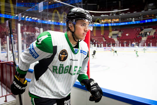 Rögles Alen Bibic