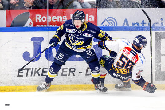 Bläddra bland fler bilder av Ishockey, SHL, HV71 - Djurgården