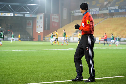 En målområdesdomare