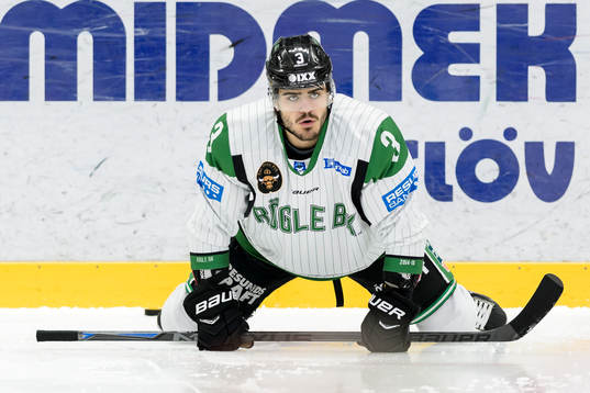 Rögles Almen Bibic