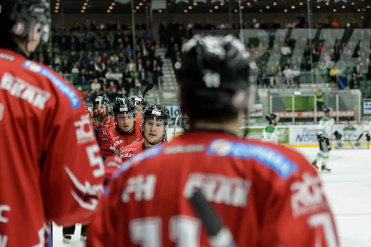Vita Hästens Henrik Thegel firar med båset