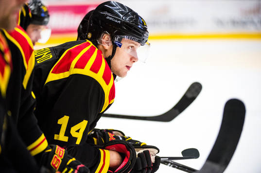 Brynäs David Westlund deppar