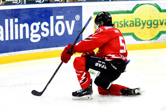 Vita Hästens Adam Schmidt jublar