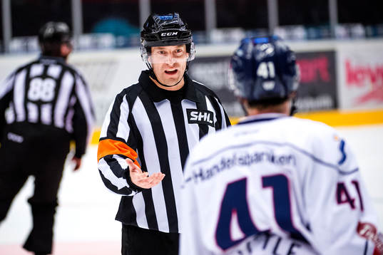 Domaren Morgan Johansson