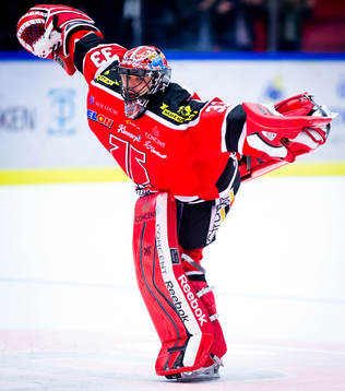 Bläddra bland fler bilder av Ishockey, SHL, Örebro - Luleå