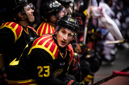 Brynäs Bill Sweatt deppar i båset