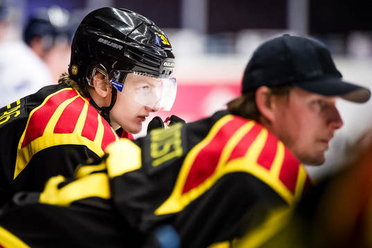 Brynäs Daniel Mannberg