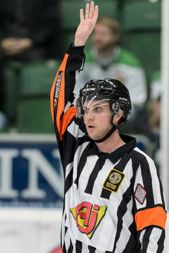 Domare Patric Bjälkander