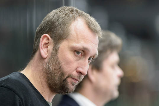Vita Hästens assisterande tränare Mikael Johansson