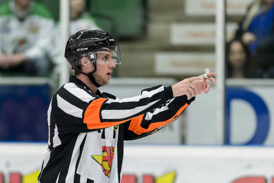 Domare Patric Bjälkander