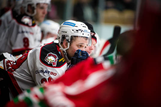 Malmö Redhawks Eric Himelfarb deppar i båset