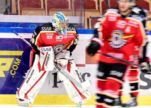 Luleås målvakt Filip Gustafsson på uppvärmningen