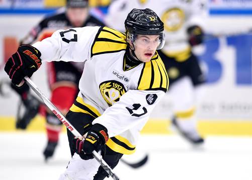 Brynäs Pathrik Westerholm