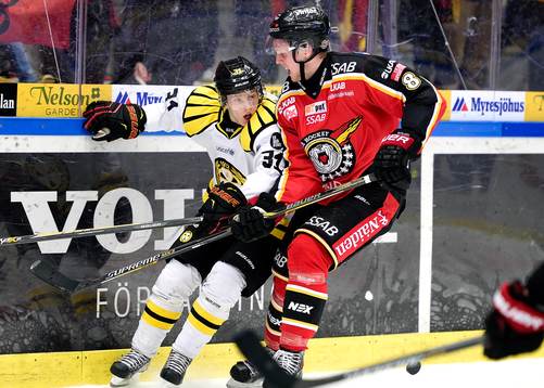 Brynäs Daniel Mannberg