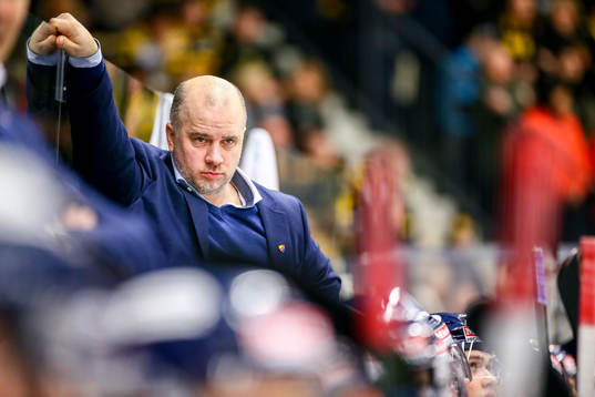 Djurgårdens assisterande tränare Stefan Nyman