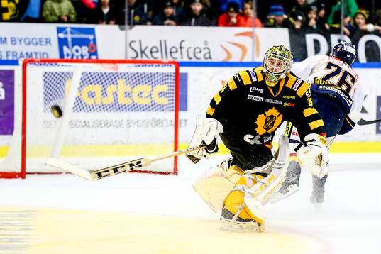 Skellefteås målvakt Erik Hanses