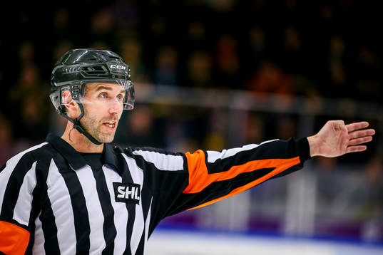 Domare Linus Öhlund