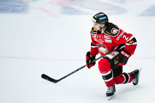 Malmö Redhawks Nils Andersson deppar