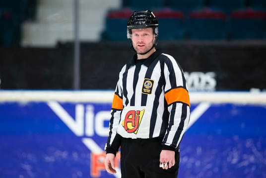 Domare David Bergman