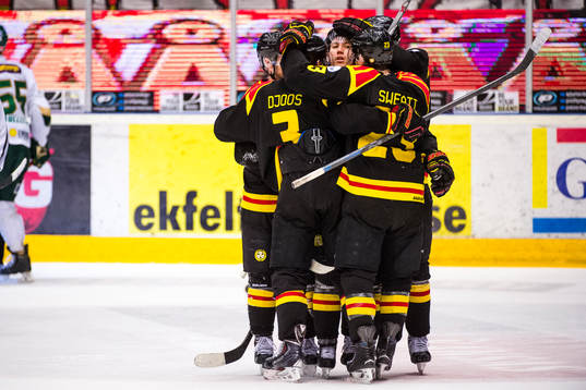 Brynäs Anton Rödin jublar