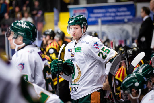 Färjestads Anton Hedman deppar i båset