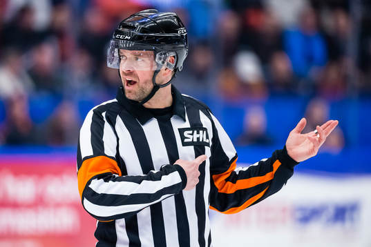 Domare Patrik Sjöberg