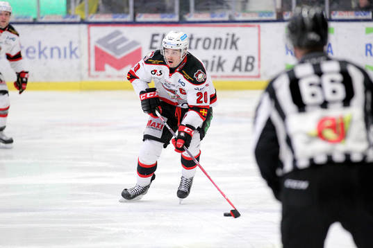 Malmös Henrik Hetta