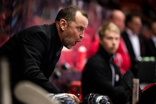 Brynäs tränare Thomas Berglund