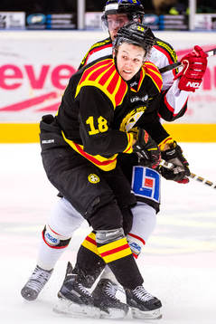 Brynäs Anton Rödin