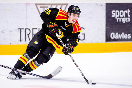 Brynäs Anton Rödin