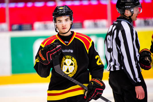 Brynäs Adam Brodecki deppar