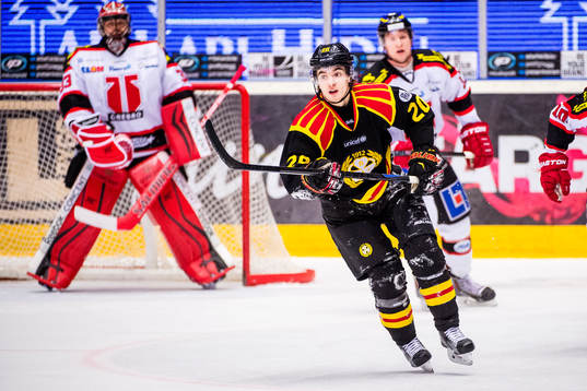 Brynäs Adam Brodecki