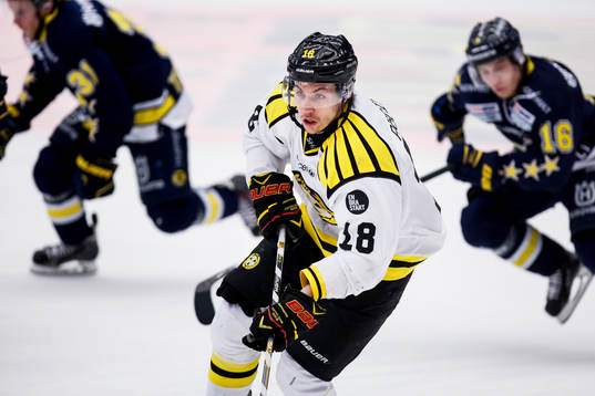 Brynäs Anton Rödin