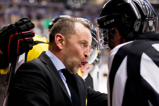 Brynäs tränare Thomas Berglund arg på domare Morgan