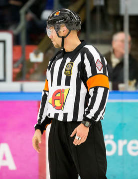 Domare Andreas Harnebring