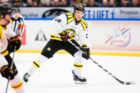 Brynäs Anton Rödin