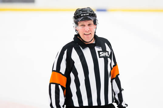 Domare Morgan Johansson glad