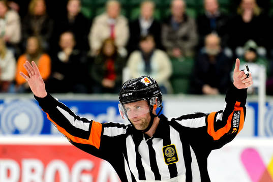 Domare Robin Karlsson